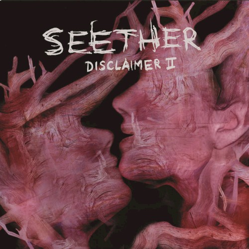 Disclaimer II cover