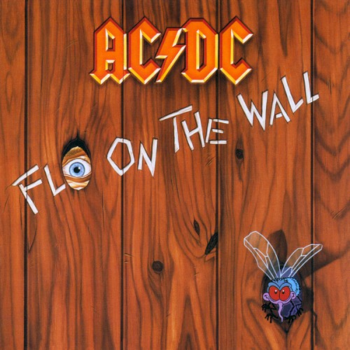 Fly on the Wall cover