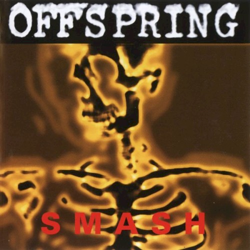Smash cover