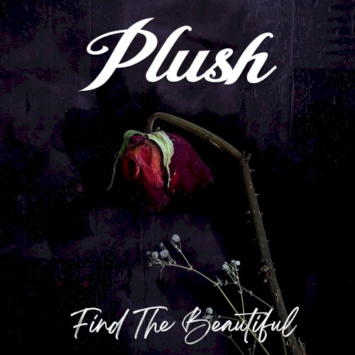 Find the Beautiful cover