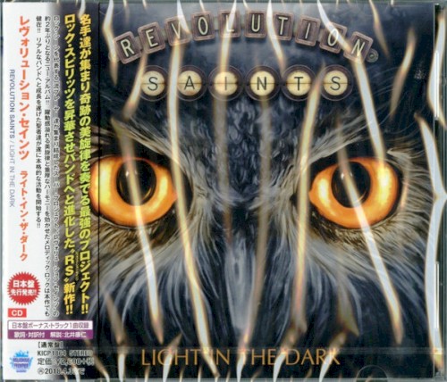 Light in the Dark cover