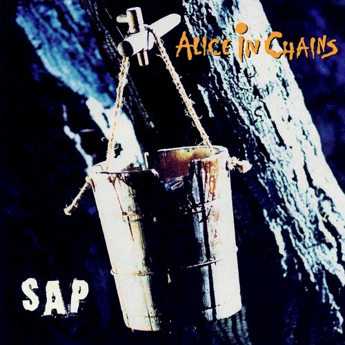Sap cover