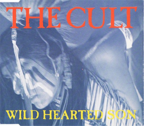 Wild Hearted Son cover