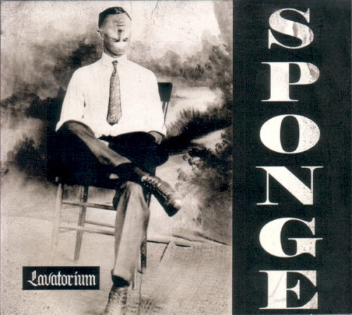 Lavatorium cover