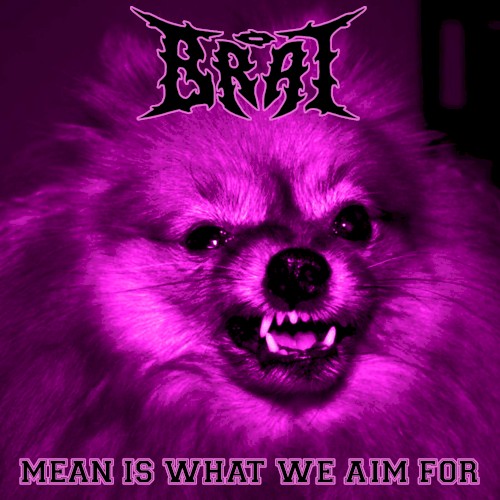 Mean Is What We Aim For cover
