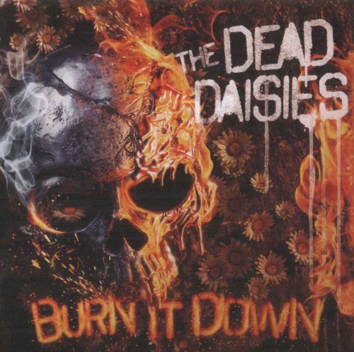 Burn It Down cover